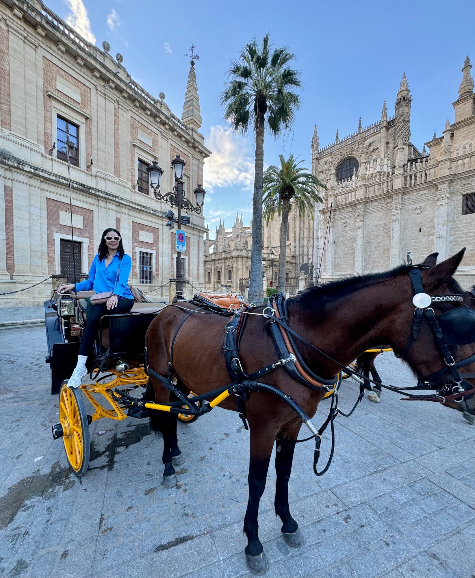 Horse carriage near Seville Cathedral