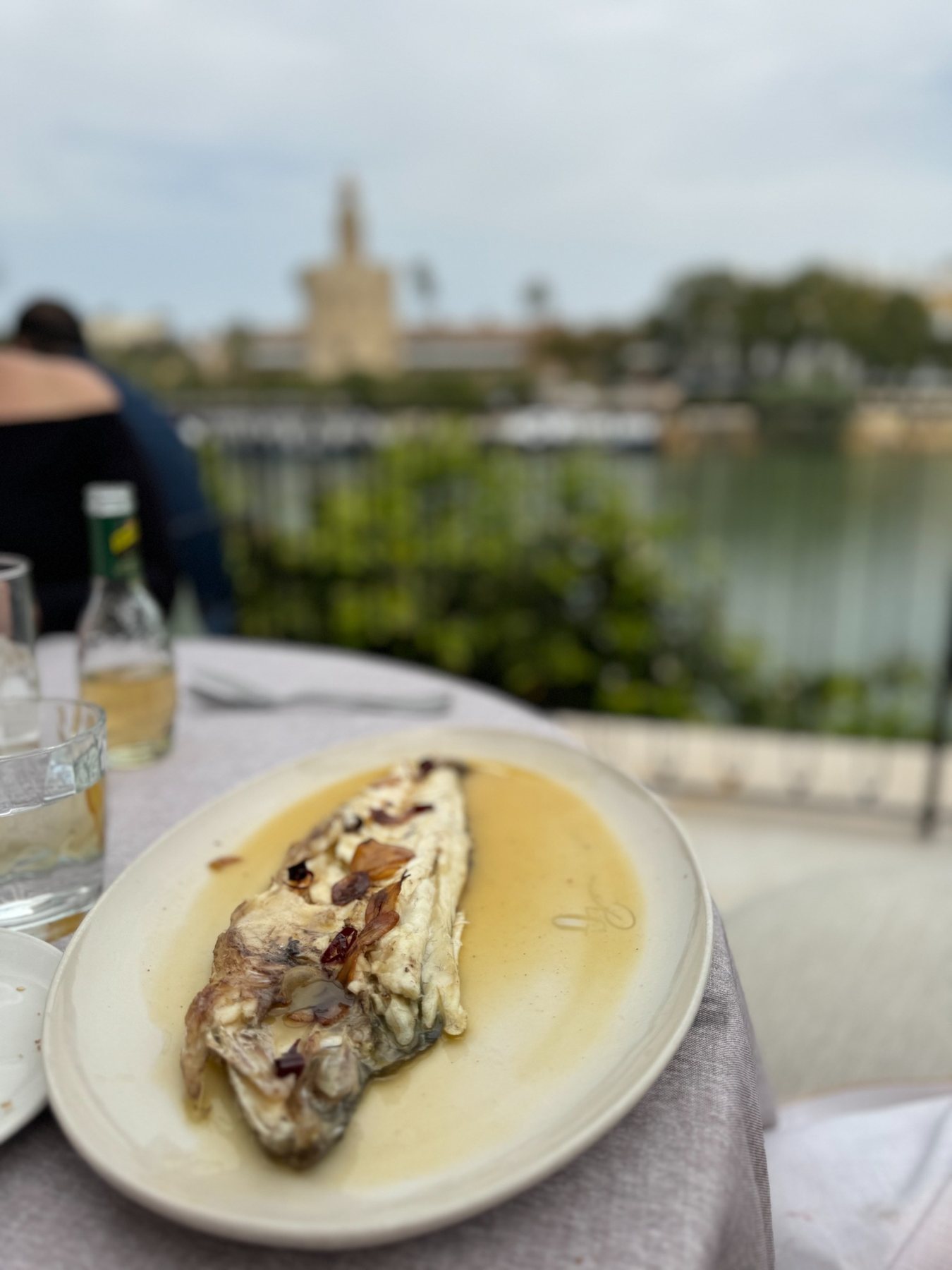 Fish lunch beside the water in Seville